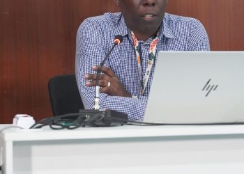 Antiguan Communications Consultant Amplifies Voices of Small Island Nations at COP30 in Brazil
