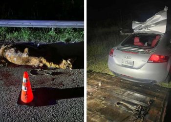 Man Dies After Collision on Friar’s Hill Road