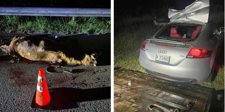 Man Dies After Collision on Friar’s Hill Road