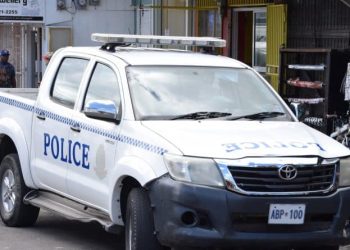 Senior Police Officer Reassigned to New Security Role Amid Ongoing Vehiclegate Scandal