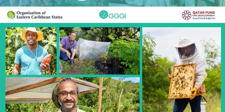 Eastern Caribbean Green Entrepreneurship Initiative Opens Applications for Third Cohort of Incubator Program
