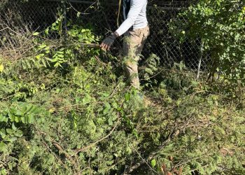 simon leads early morning - MP Simon leads early morning cleanup at