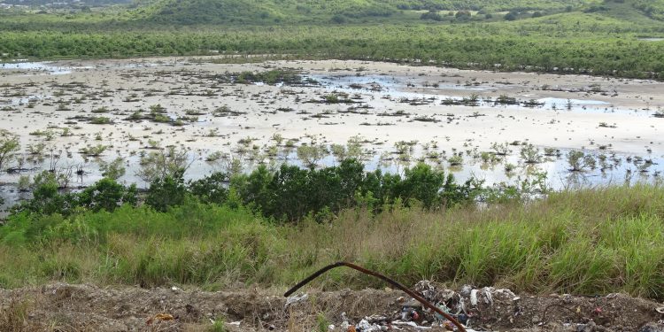 gov modernize waste management - Gov’t to modernize waste management foll