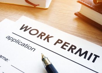 cabinet moves centralize work - Cabinet moves to centralize work permit