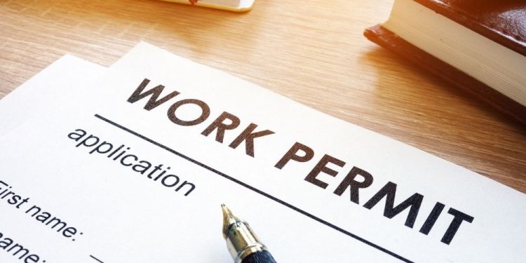 cabinet moves centralize work - Cabinet moves to centralize work permit