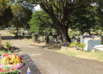 john public cemetery close - St John’s Public Cemetery to close for n