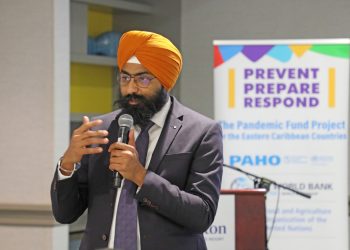 paho advisor digital shield - PAHO Advisor: Digital shield and moderni