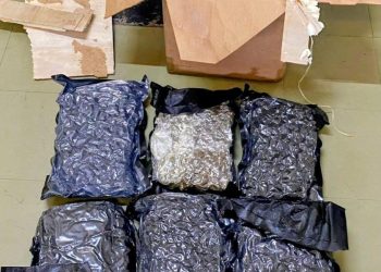 nearly 80k worth cannabis - Nearly $80K worth of cannabis discovered