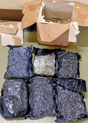 nearly 80k worth cannabis - Nearly $80K worth of cannabis discovered