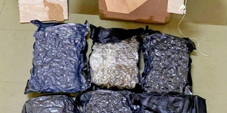 nearly 80k worth cannabis - Nearly $80K worth of cannabis discovered