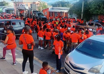 iho doga spearhead march - IHO, DOGA spearhead march for national w