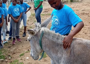 animal ambassador program records - Animal Ambassador Program records increa