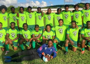 scorpions end first division - Scorpions end First Division campaign on