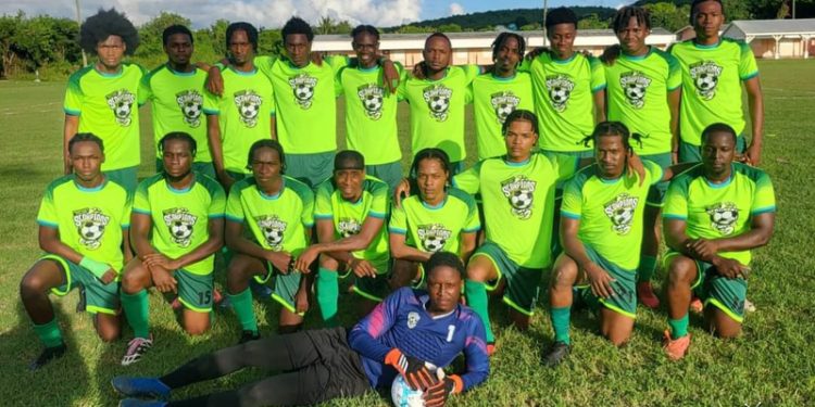 scorpions end first division - Scorpions end First Division campaign on