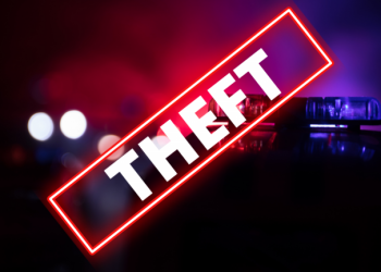 teen held after chickens - Teen Held After Chickens Stolen from Cit