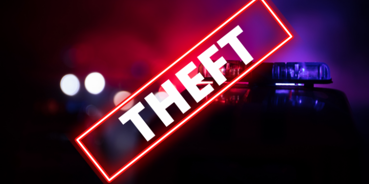 teen held after chickens - Teen Held After Chickens Stolen from Cit