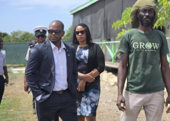 joseph vows transparency cannabis - Joseph Vows Transparency in Cannabis Ind