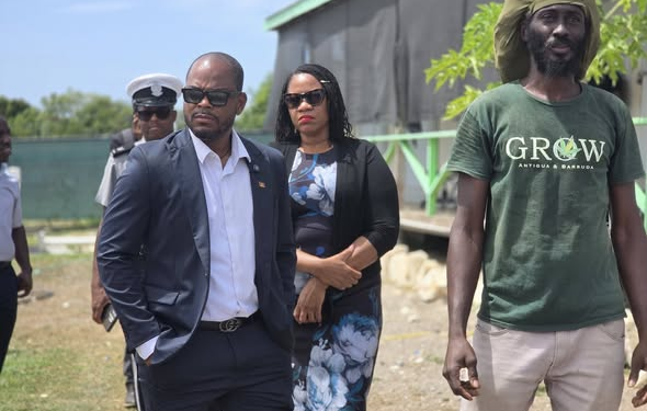 joseph vows transparency cannabis - Joseph Vows Transparency in Cannabis Ind