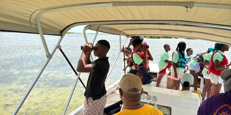 blue halo ocean camp - Blue Halo Ocean Camp: Barbuda’s Youth Di