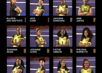 volleyball association names national - Volleyball Association Names National Te