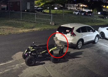 video two caught camera - VIDEO: Two Caught on Camera Stealing Qua