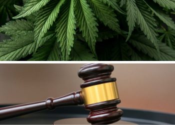 three jamaicans remanded after - Three Jamaicans Remanded After EC$79,000