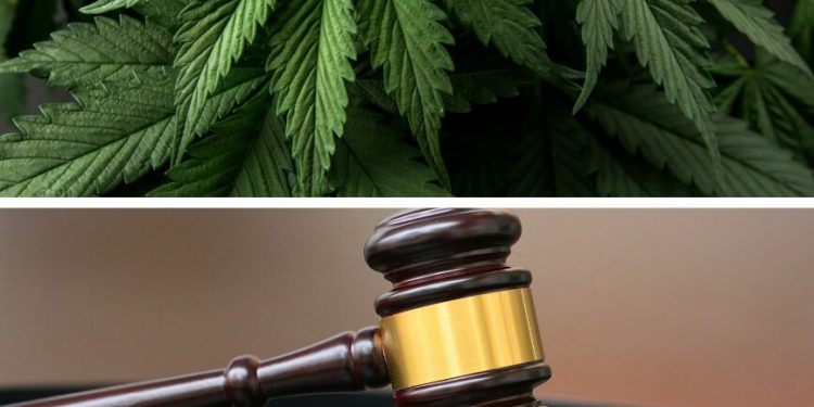 three jamaicans remanded after - Three Jamaicans Remanded After EC$79,000