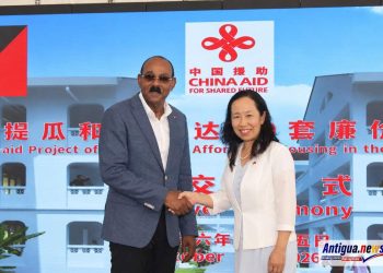 browne seeks chinese funding - Browne Seeks Chinese Funding for 300 Mor